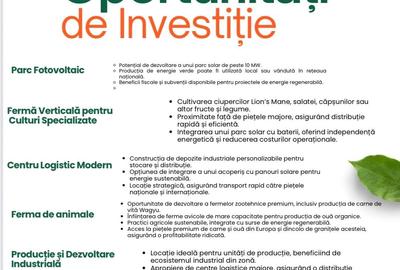 Arges  Teren Intravilan Industrial Suprafata Compacta 12 Hectare(9eur/mp) - 2