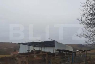 Casă cu 3 camere cu Teren 9600 Mp în Central - 11
