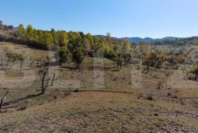 Teren de 7382 mp, în Central - 8