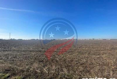 Teren 5000 mp Ghercesti in apropierea DEX - 1