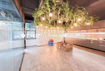 Spațiu comercial, de 100 mp, în Romană - 14