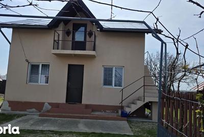 Casă cu 4 camere cu Teren 1350 Mp în Produlești - 1