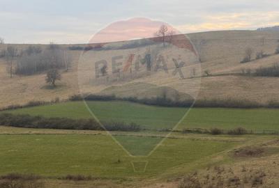 Teren Construcții de 3400 mp, în Crișeni - 2