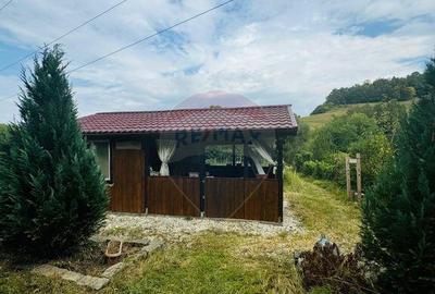 Teren Drumul Buzdului cu o cabana mica - 6