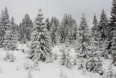 Teren de 1500 mp, în Mărișel