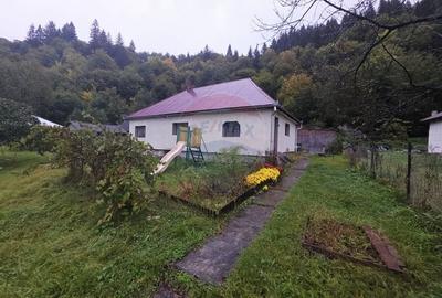 Casa / Vila cu 4 camere de vanzare Tarcau - 2