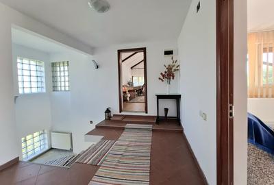 Casă individuală cu 6 camere cu Teren 2300 Mp în Valter Mărăcineanu - 20