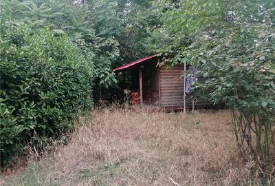 Pensiune Azil Spatiu Comercial Calea Girocului - 1