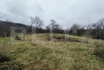Teren 3000 mp + 2 case de vanzare-Ca?eiu - 19