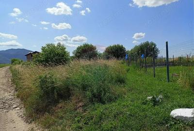 COMISION 0%! Teren 712mp Sacele / Strada Postavarului - 2