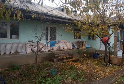 Casa batraneasca, 1000 mp, la 14 km de oras - 3