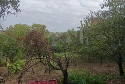 Bucium, Fundac Paun, teren1500mp. casa veche, locuibila, 80mp.cu utilitati - 3