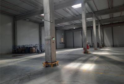 Spatiu Industrial - 4000 mp - Logistica - Productie - Depozitare - Distributie - 5