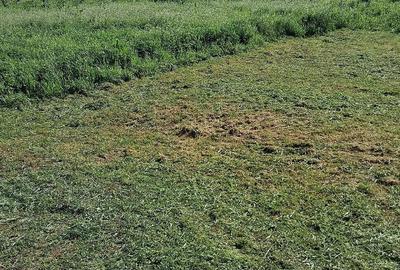 Teren de 800 mp, în Limpeziș - 9