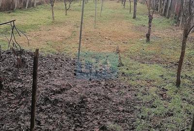 Casă cu 3 camere cu Canalizare în Central - 13