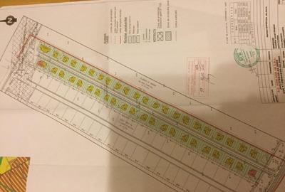 TEREN INTRAVILAN ,INVESTITIE,OTOPENI , PUZ APROBAT, 17000 MP,C.BRANCOVEANU - 6