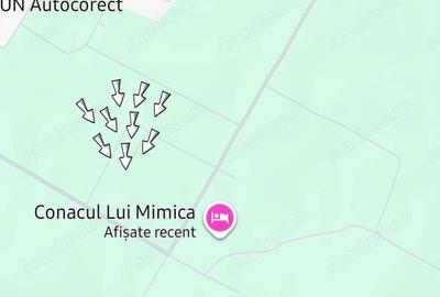 Teren de 476 mp, în Cornetu - 1