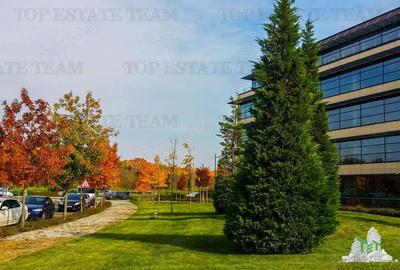 Spatiu de Birouri de 543 mp in Zona Baneasa - 2