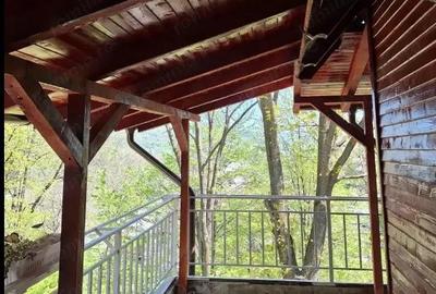 Casă cu Teren 6242 Mp în Central