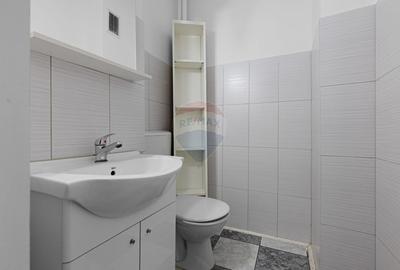 Apartament cu 3 camere de inchiriat in zona Micalaca - 9