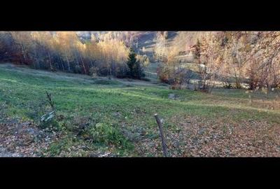 Spațiu comercial, în Peștera - 6