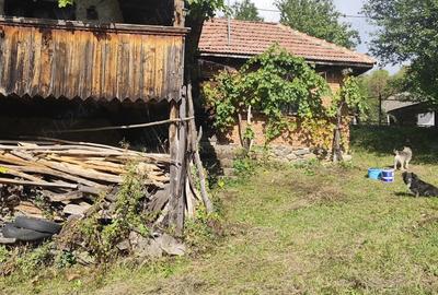 Casa de vanzare batraneasca in Schela jud Gorj - 3