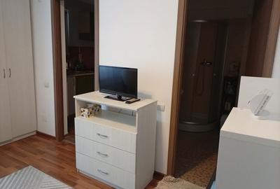 Garsonieră decomandată în Brâncoveanu - 1