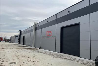 Depozit/hala/spatiu industrial Popesti Leordeni-Oltenitei - 10