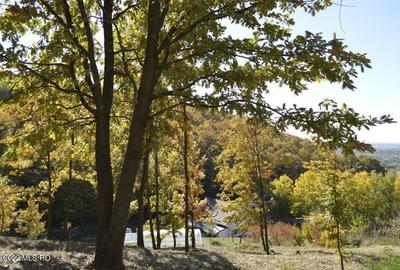 Topoloveni - Conacul Ion Mihalache, Domeniu pe 5 Hectare - 57