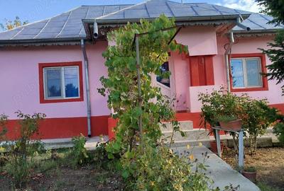 Casă cu Teren 3000 Mp în Bucșani - 2