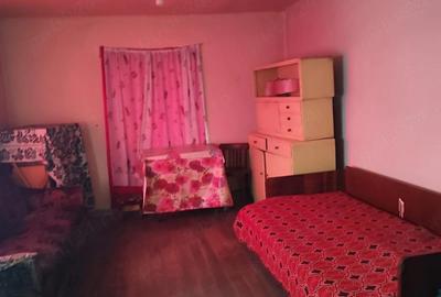 Casă cu Teren 4500 Mp în Ștei - 2