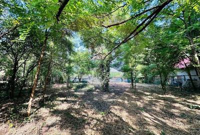 Teren intravilan 1500mp in Livedea, Ialomita - 10