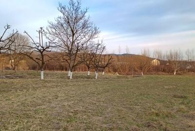 Spațiu comercial, în Central - 2