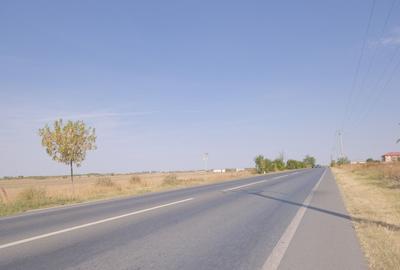Teren Construcții intravilan de 57000 mp, în Exterior Sud - 13