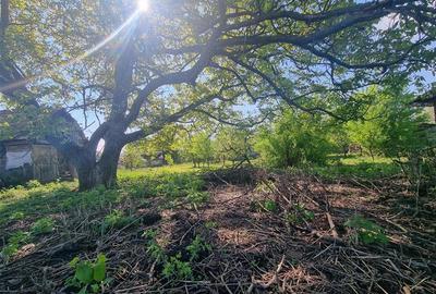 Teren intravilan de 14900 mp, în 1 Decembrie 1918 - 1