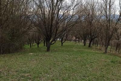 Teren în Romanești - 2