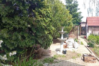 Casă cu 4 camere în Miniș - 8