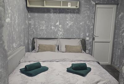 Apartament cu 2 camere în Tătărași - 8