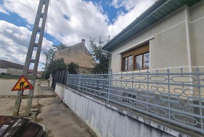 Case de vanzare in Mandra - 42