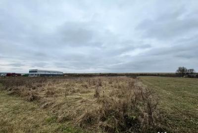 Teren de 2800 mp, în Satulung - 2