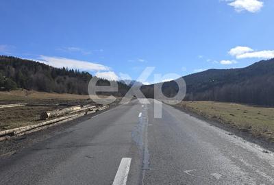 Teren Construcții extravilan de 19200 mp, în Brădet - 7