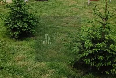 Casă cu 3 camere cu Teren 800 Mp în Central - 6