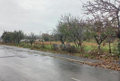 Valu lui Traian, teren intravilan, 3.200mp, vanzari - 6