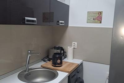 Apartament cu 2 camere în Ferdinand - 20