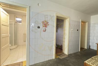 Casa 7 camere cu Teren 4.620 mp | Potential pentru rezidenta sau afacere | Carei - 15