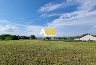 Teren Construcții intravilan de 1974 mp, în Periferie - 4