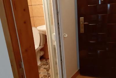 Garsonieră decomandată în Băile Herculane - 2