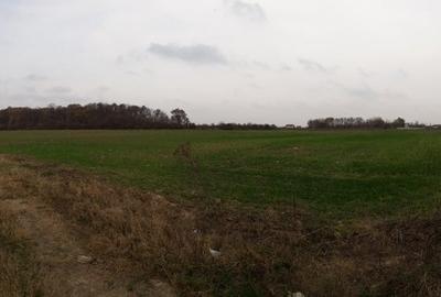 Vanzare teren intravilan Teghes -Domnesti Ilfov Vanzare teren intravilan Teghes -Domnesti Ilfov - 3