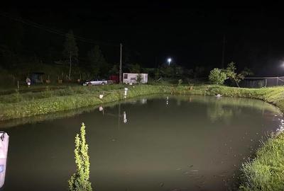 Iaz de vanzare in Apuseni- cazare, agrement si pescuit la DN74 - 11