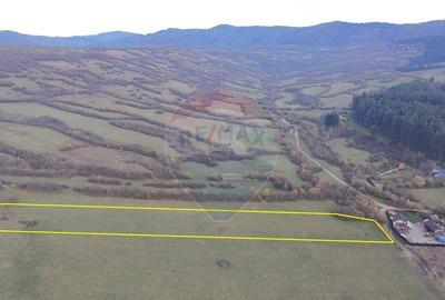 Teren 5.800 mp Purcareni curent, gaz, apa / Strada 30 de... - 9